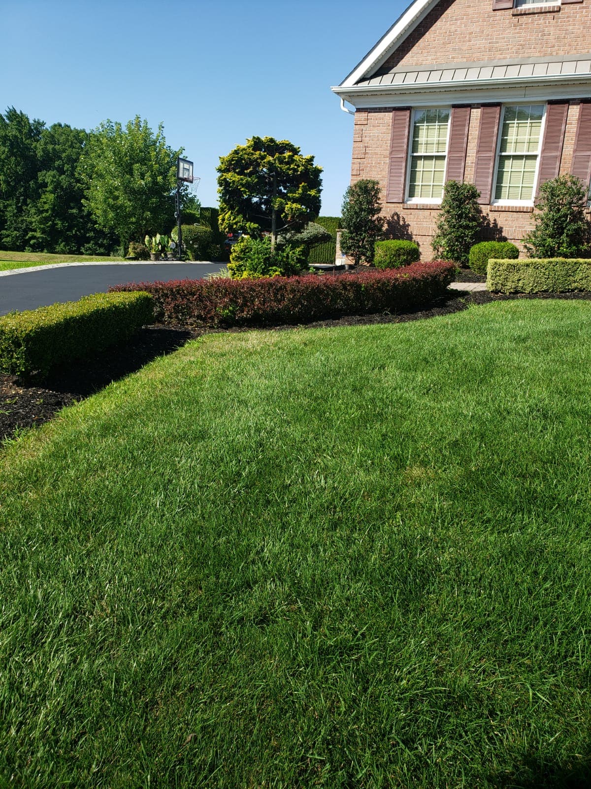 Beautiful landscape project